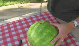 西安最新吃瓜爆料汇总